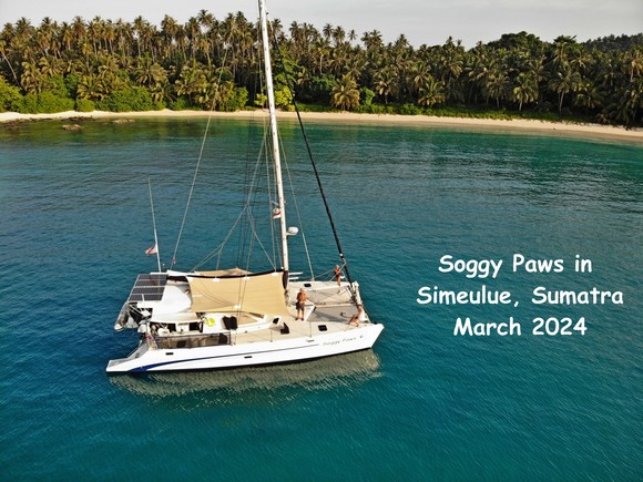Soggy Paws in Simulue, Sumatra, Indonesia, in 2024